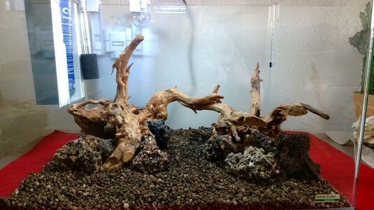 k-WP_20131203_007.jpg