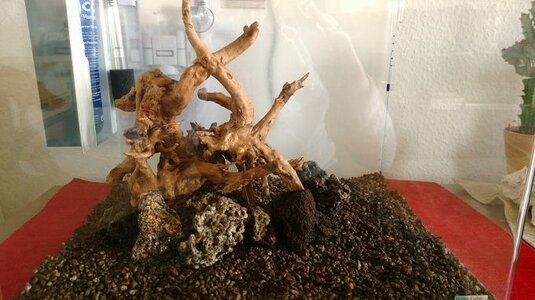 k-WP_20131203_010.jpg