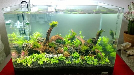 k-WP_20131208_003.jpg