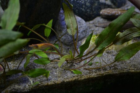 DSC_1177.JPG