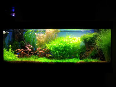20131216_190124.jpg