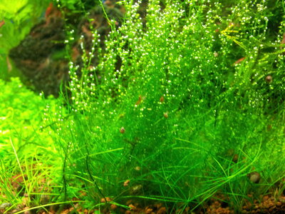 20131226_152922.jpg