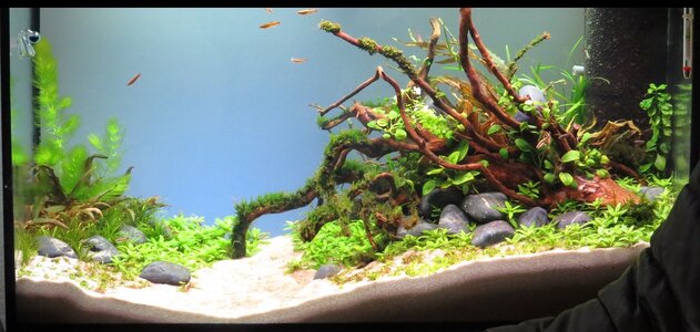 AquaTag9.jpg