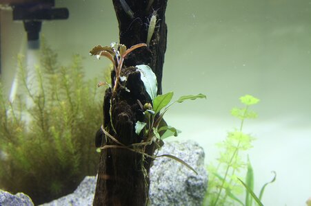 IMG_2010_k.jpg
