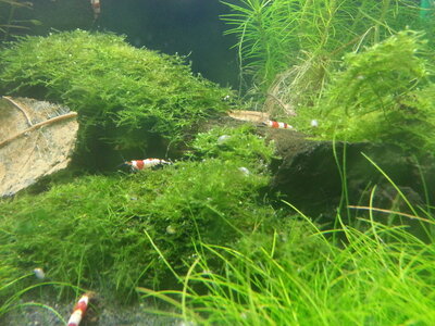 2013-08-1920.53.03hdbko.jpg