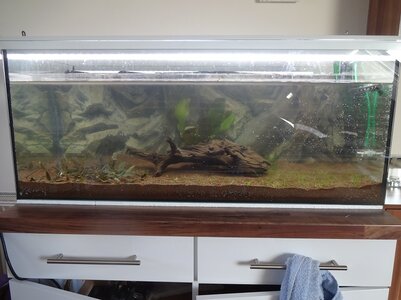 Aquarium.JPG
