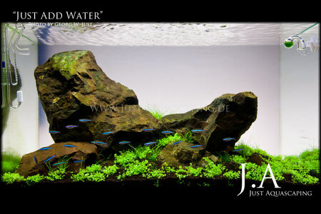 JustAddWater2013start.jpg