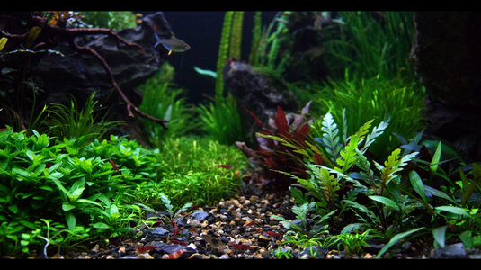 02-15-2014d.jpg