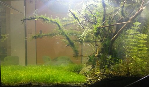20140217_113553-1~01.jpg