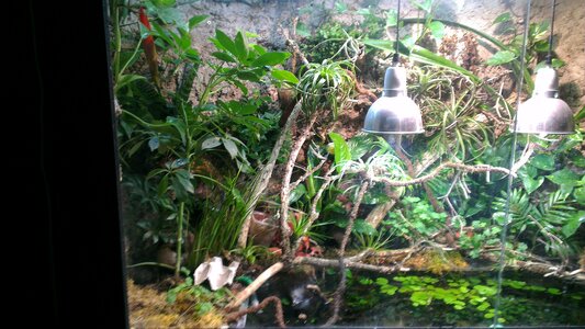 IMAG0010.jpg