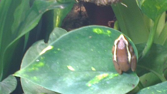 IMAG0026.jpg