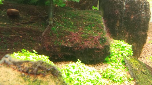20140306_210904.jpg