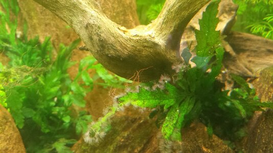 20140306_210916.jpg