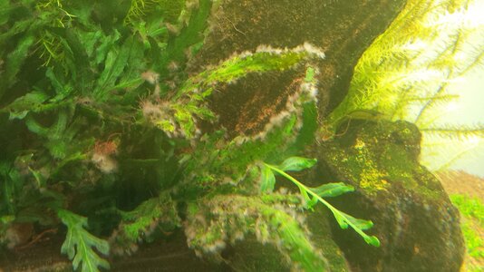 20140306_210944.jpg