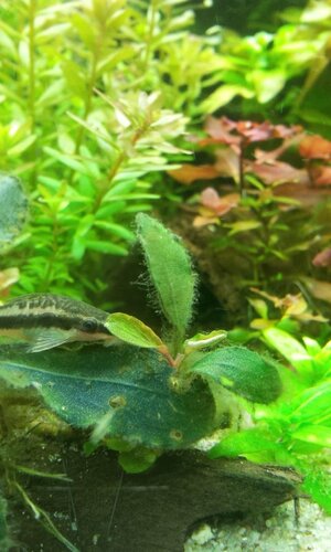 20140318_184551.jpg