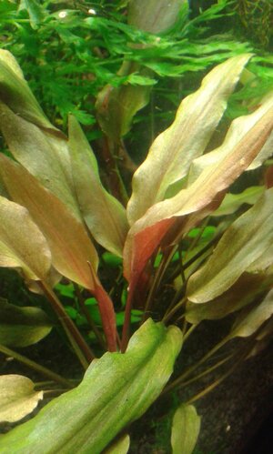20140322_101942.jpg