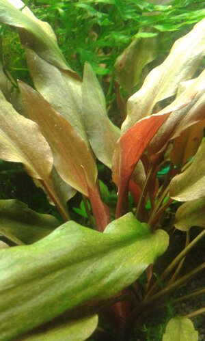 20140322_102022.jpg