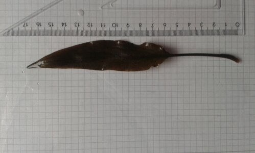 20140322_102517.jpg