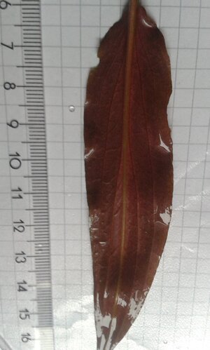 20140322_102645.jpg