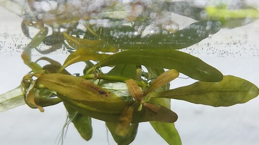 20140322_204338.jpg
