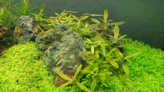 20140322_203332.jpg