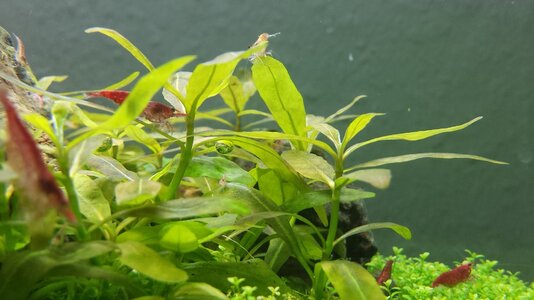 20140322_203118.jpg