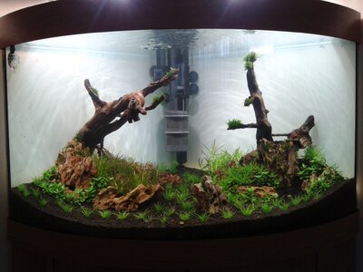 20140316_144032.jpg