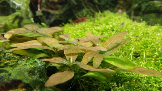 20140413_212817.jpg