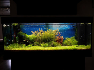 20140429_171258_LLS.jpg