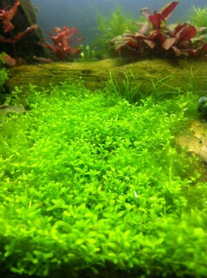 Foto 3.JPG