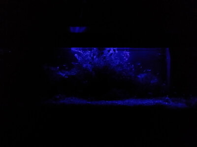 20140505_222431_LLS.jpg