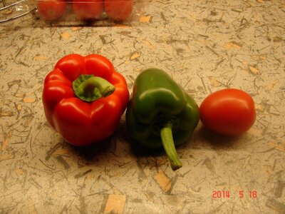 Paprika_Tomate 1 DSC08943.jpg