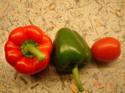 Paprika_Tomate 2 DSC08943.jpg