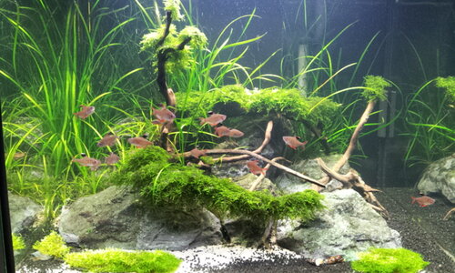20140518_214636.jpg