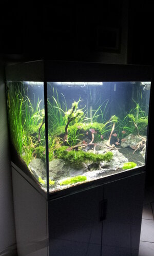 20140518_214623.jpg
