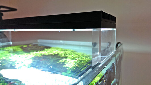 IMAG0146.jpg