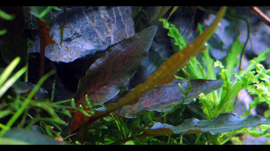 2014_06_13a.jpg