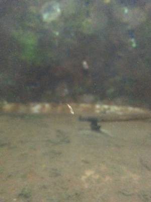 2014-06-09 12.39.55.png