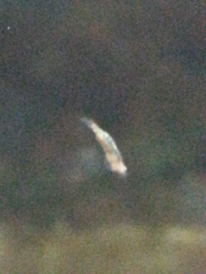 2014-06-09 12.39.33.png