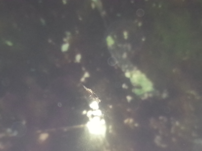 2014-06-09 12.38.12.png