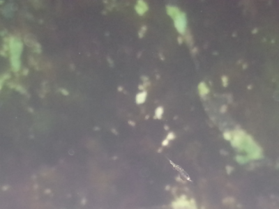 2014-06-09 12.37.55.png