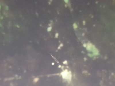 2014-06-09 12.37.37.png