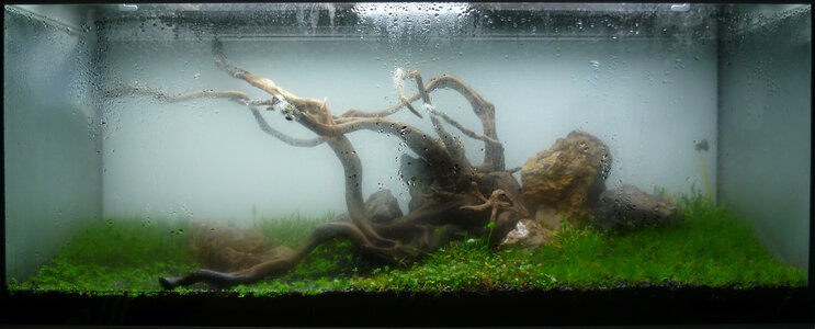 dry start day22.jpg