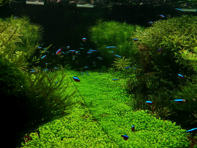 20140704_164819_LLS.jpg