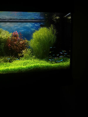 20140704_203837_LLS.jpg