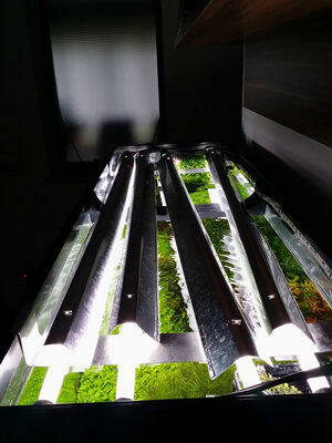 20140708_172810_LLS.jpg