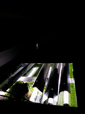 20140708_172852_LLS.jpg