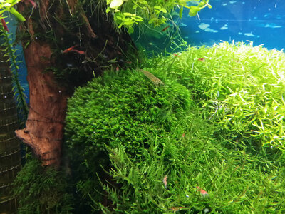 20140714_165439_LLS.jpg