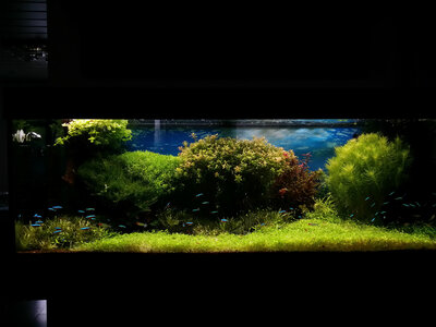 20140714_154520_LLS.jpg
