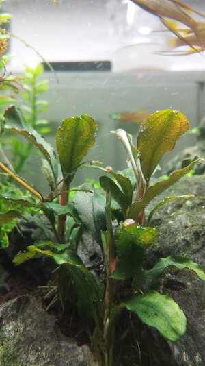 20140725_211548.jpg